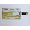 Footprints in the Fynbos USB Audiobooks